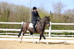 3E7A1986