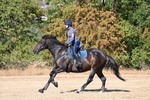WJ6_6845