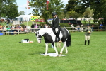 SBM_46780