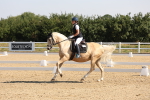 SBM_003031