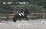 BPP_0273