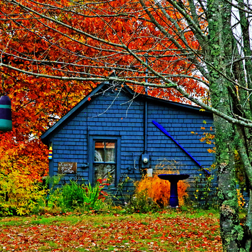Fundy Postcard