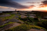 Evening Light