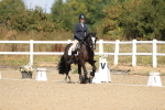 SBM_013529
