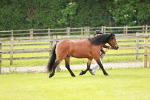 SBM_00433