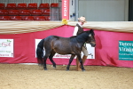 SBM_02191