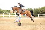 SBM_003337