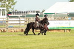 SBM_11018