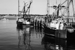 kahuna b&w