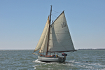 170526 IVY GREEN EB6 1Y3A1010