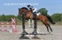 BPP_8294