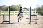 SBM_000498