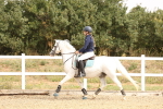 SBM_001084
