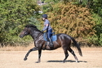 WJ6_6846