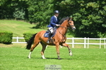 Cls 20 JP Equestrian 6YO portfolio