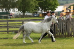 SBM_00513