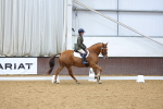 SBM_001940