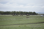 PtP 150320 0571
