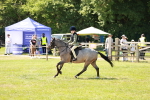 SBM_13491
