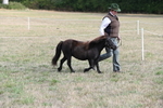 WJ6_6843