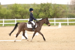 SBM_006488