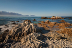 Kaikoura Rocks