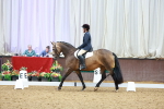 SBM_000884