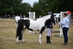 WJ6_4382