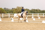 SBM_002082