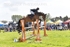 BPP_8899