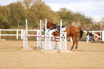 SBM_004035