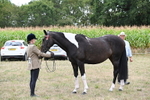 WJ6_5636