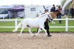 SBM_02474