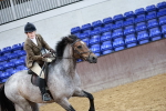 SBM_007944