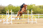 SBM_001874