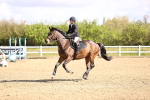 SBM_003271