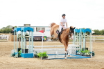 SBM_018786