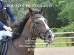 BPP_1787