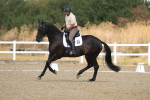 SBM_008587