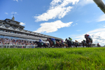 Race 3 16.45pm Sky Bet Club Handicap portfolio