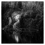 Heron Newport