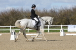 Dressage - Legacy B portfolio