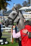 111024-Race 2-Mirabeau-1543