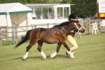 SBM_10589
