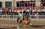 _DSC3941