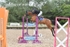 BPP_9617