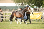 SBM_10381