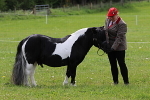 SIAL3171
