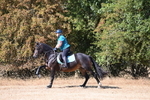 WJ6_8504