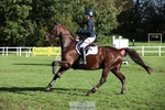 649-DONAIL.BEAUANCO-Sheila.Williams-TrotUp+SJ portfolio